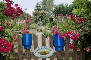 violettas-herzensgarten-03