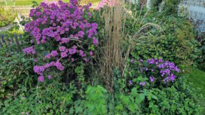 annis-garten-04