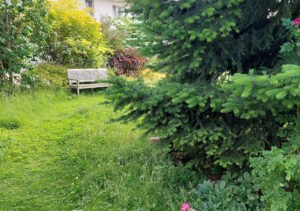 wildgarten-fuer-insekten-und-menschen-06