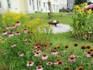 kraeuter-und-naschgarten-st-martin-05