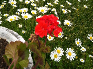 naturparadies-06