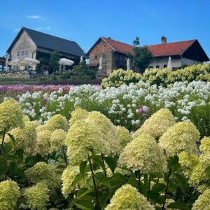 garten-der-geheimnisse-02