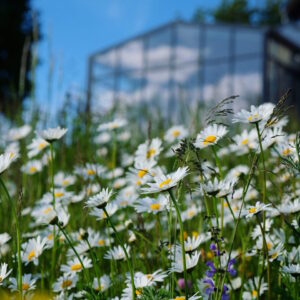 garten-der-geheimnisse-05
