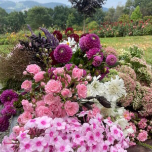 garten-der-geheimnisse-11