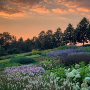 garten-der-geheimnisse-13