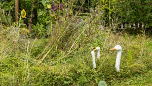 garten-der-biodiversitaet-03