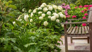 garten-der-biodiversitaet-04