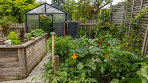 garten-der-biodiversitaet-06