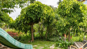 garten-der-biodiversitaet-07