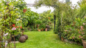 garten-der-biodiversitaet-09