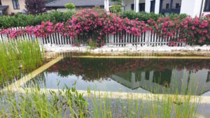 garten-der-elemente-07