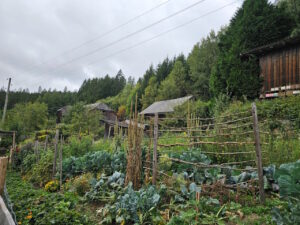 seelenkraftgarten-am-esel-und-ziegenhof-06