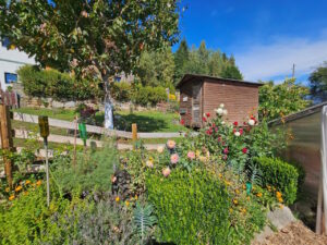 seelenkraftgarten-am-esel-und-ziegenhof-07