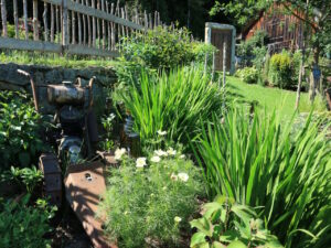 seelenkraftgarten-am-esel-und-ziegenhof-10