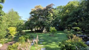 garten-der-drachensteine-05